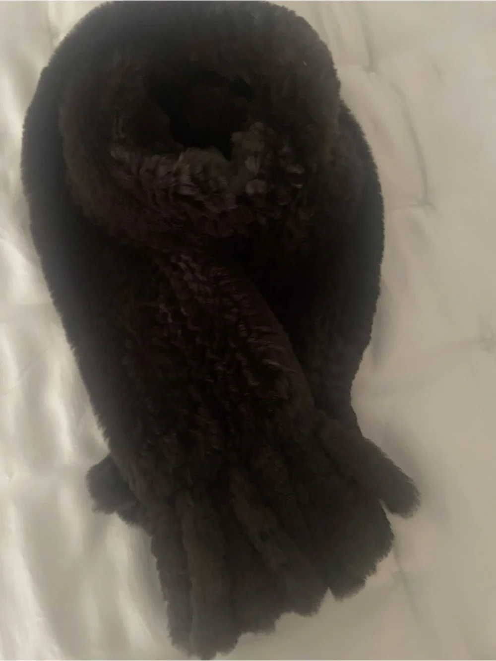 Dark Brown Rabbit Fur Scarf by Dicker and Dicker of Beverly Hills